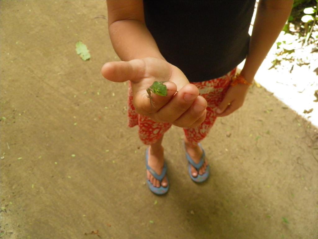 Strand Unawatuna Luaran gambar