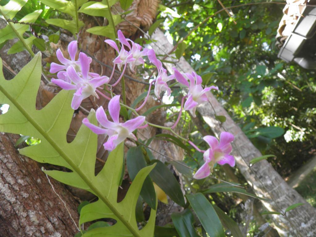 Strand Unawatuna Luaran gambar